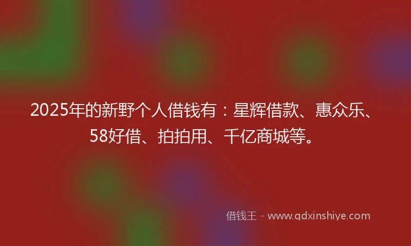 2025年的新野个人借钱有：星辉借款、惠众乐、58好借、拍拍用、千亿商城等。
