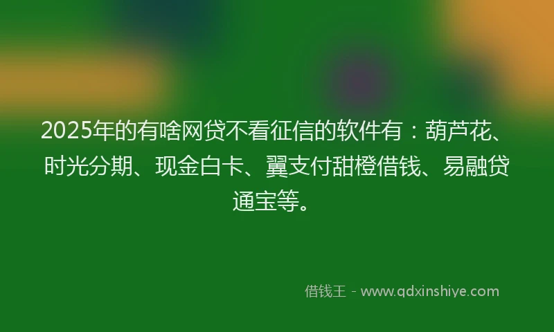 2025年的有啥网贷不看征信的软件有：葫芦花、时光分期、现金白卡、翼支付甜橙借钱、易融贷通宝等。