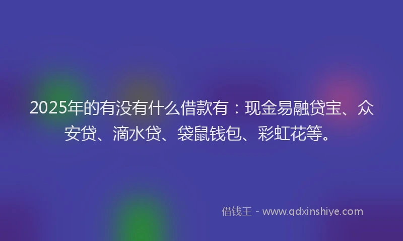 2025年的有没有什么借款有：现金易融贷宝、众安贷、滴水贷、袋鼠钱包、彩虹花等。