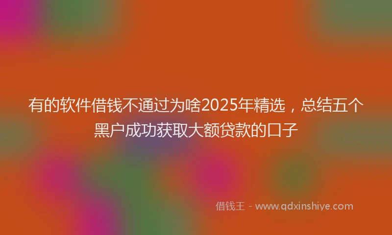 有的软件借钱不通过为啥2025年精选，总结五个黑户成功获取大额贷款的口子