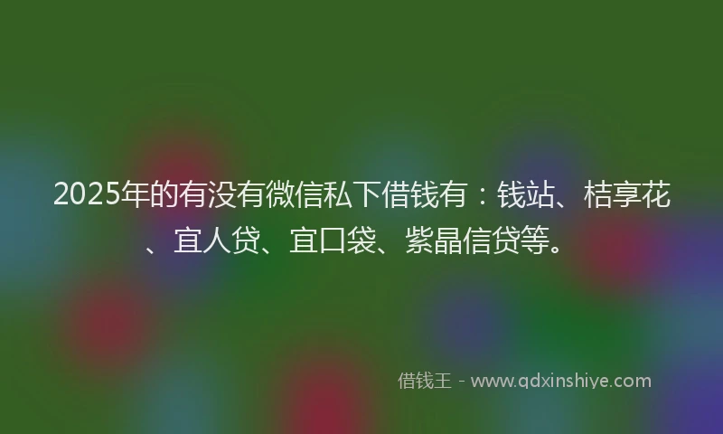 2025年的有没有微信私下借钱有：钱站、桔享花、宜人贷、宜口袋、紫晶信贷等。