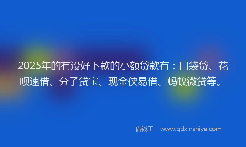 2025年的有没好下款的小额贷款有：口袋贷、花呗速借、分子贷宝、现金侠易借、蚂蚁微贷等。