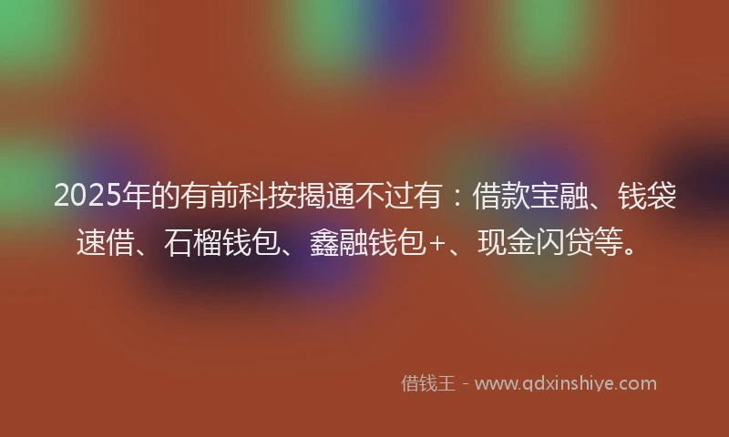 2025年的有前科按揭通不过有：借款宝融、钱袋速借、石榴钱包、鑫融钱包+、现金闪贷等。