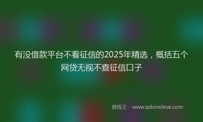 有没借款平台不看征信的2025年精选，概括五个网贷无视不查征信口子