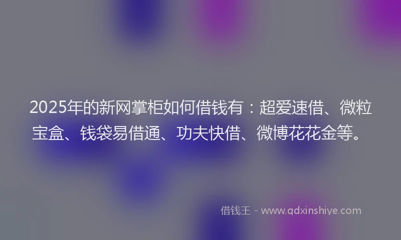 2025年的新网掌柜如何借钱有：超爱速借、微粒宝盒、钱袋易借通、功夫快借、微博花花金等。