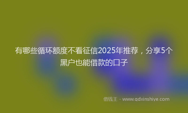 有哪些循环额度不看征信2025年推荐，分享5个黑户也能借款的口子