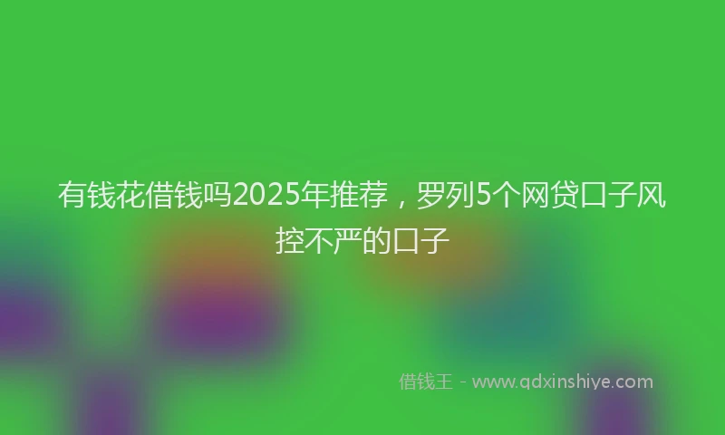有钱花借钱吗2025年推荐，罗列5个网贷口子风控不严的口子