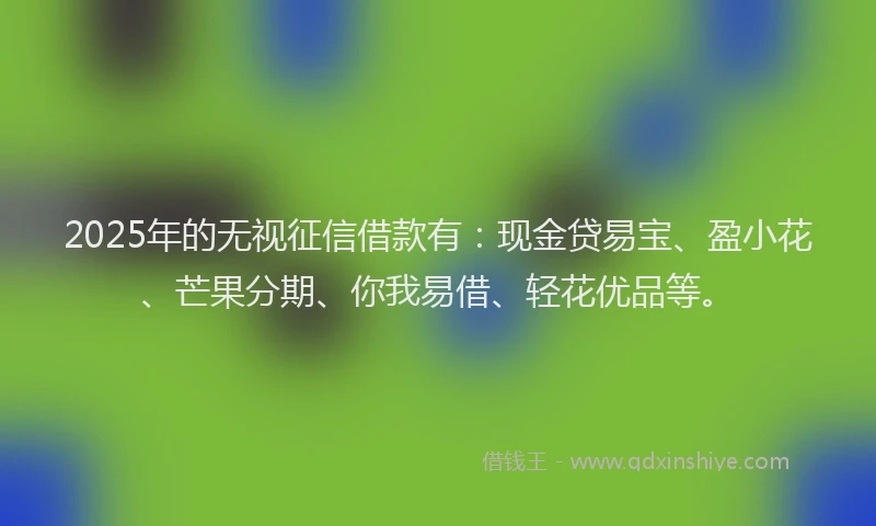 2025年的无视征信借款有：现金贷易宝、盈小花、芒果分期、你我易借、轻花优品等。