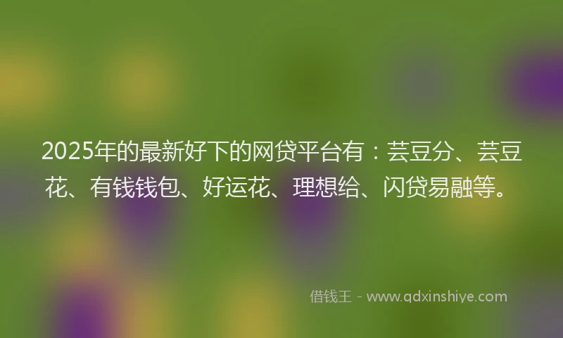 2025年的最新好下的网贷平台有：芸豆分、芸豆花、有钱钱包、好运花、理想给、闪贷易融等。