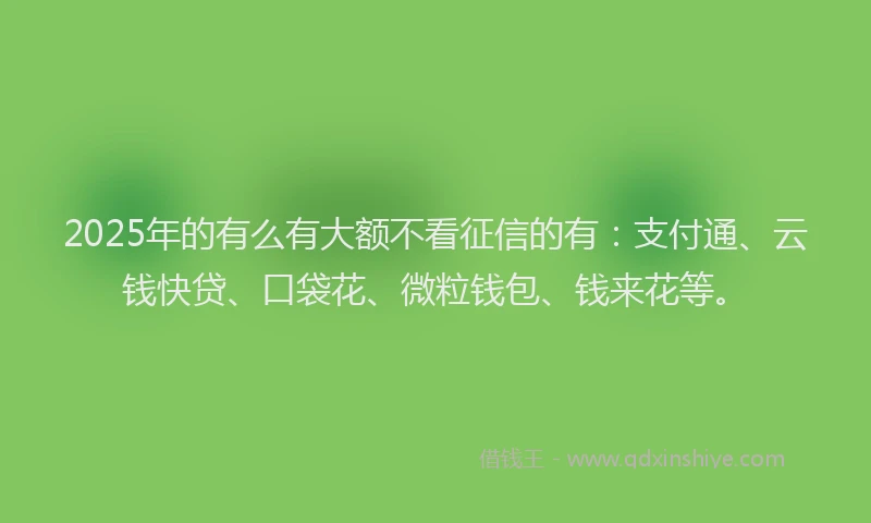 2025年的有么有大额不看征信的有：支付通、云钱快贷、口袋花、微粒钱包、钱来花等。