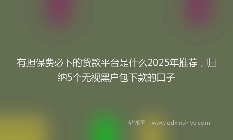 有担保费必下的贷款平台是什么2025年推荐，归纳5个无视黑户包下款的口子