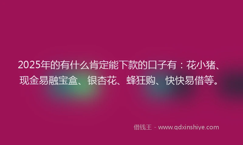 2025年的有什么肯定能下款的口子有：花小猪、现金易融宝盒、银杏花、蜂狂购、快快易借等。