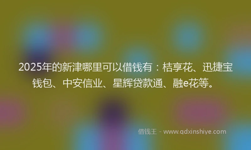 2025年的新津哪里可以借钱有：桔享花、迅捷宝钱包、中安信业、星辉贷款通、融e花等。