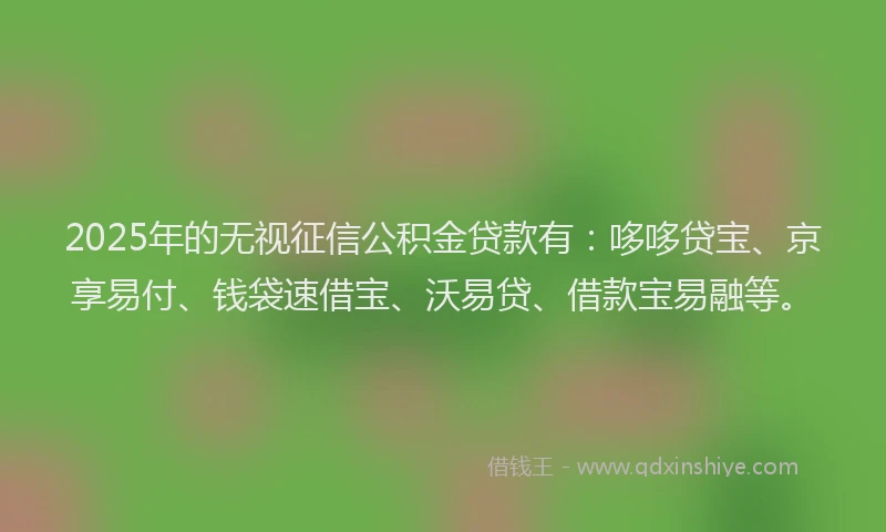 2025年的无视征信公积金贷款有：哆哆贷宝、京享易付、钱袋速借宝、沃易贷、借款宝易融等。