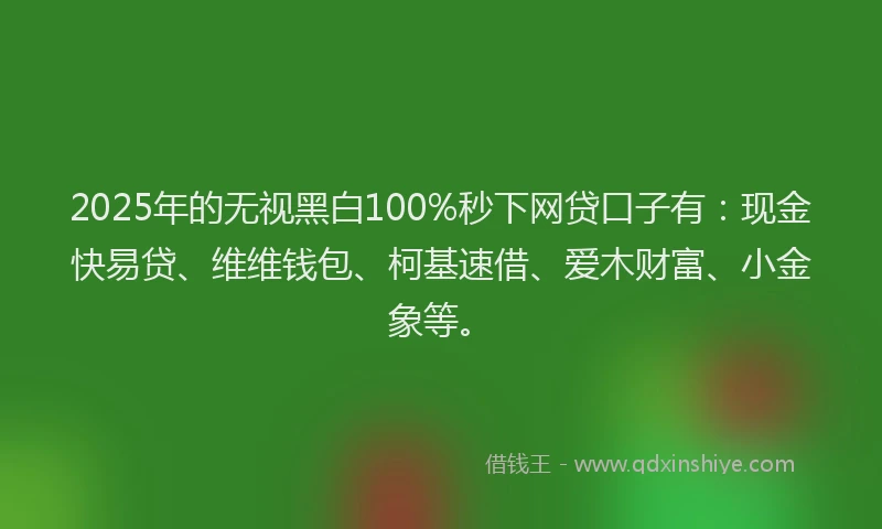 2025年的无视黑白100%秒下网贷口子有：现金快易贷、维维钱包、柯基速借、爱木财富、小金象等。
