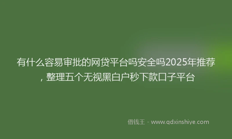 有什么容易审批的网贷平台吗安全吗2025年推荐，整理五个无视黑白户秒下款口子平台