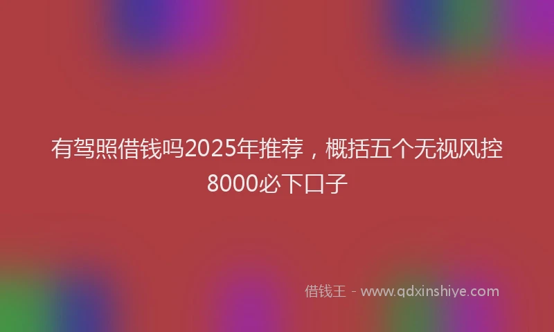 有驾照借钱吗2025年推荐，概括五个无视风控8000必下口子