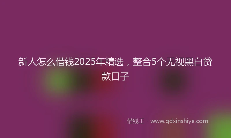 新人怎么借钱2025年精选，整合5个无视黑白贷款口子