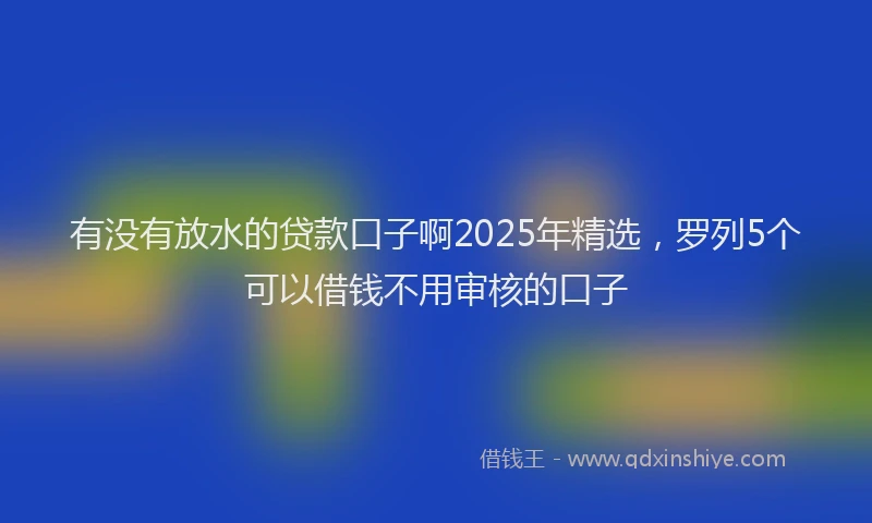 有没有放水的贷款口子啊2025年精选，罗列5个可以借钱不用审核的口子