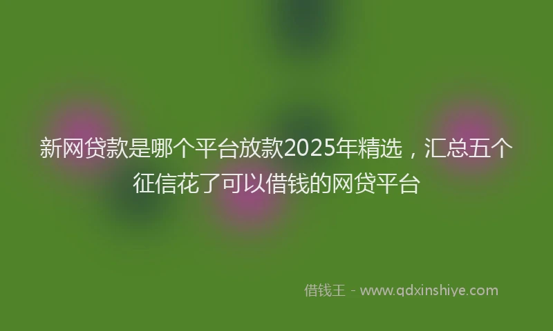 新网贷款是哪个平台放款2025年精选，汇总五个征信花了可以借钱的网贷平台