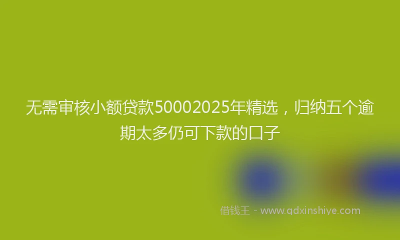 无需审核小额贷款50002025年精选，归纳五个逾期太多仍可下款的口子