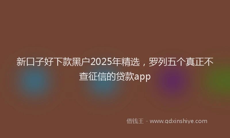 新口子好下款黑户2025年精选，罗列五个真正不查征信的贷款app