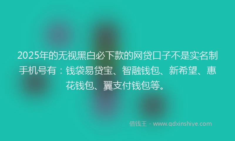 2025年的无视黑白必下款的网贷口子不是实名制手机号有：钱袋易贷宝、智融钱包、新希望、惠花钱包、翼支付钱包等。