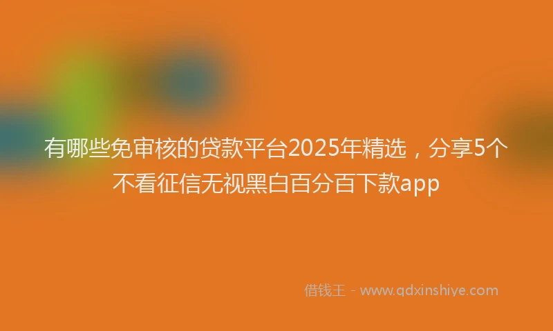 有哪些免审核的贷款平台2025年精选，分享5个不看征信无视黑白百分百下款app