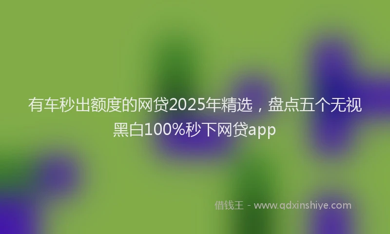 有车秒出额度的网贷2025年精选，盘点五个无视黑白100%秒下网贷app