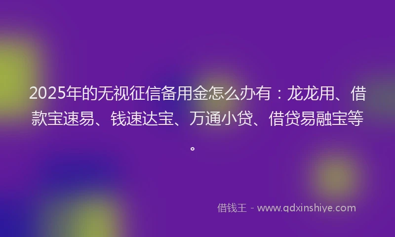 2025年的无视征信备用金怎么办有：龙龙用、借款宝速易、钱速达宝、万通小贷、借贷易融宝等。