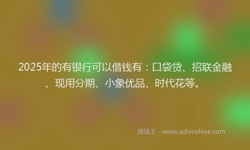 2025年的有银行可以借钱有：口袋贷、招联金融、现用分期、小象优品、时代花等。