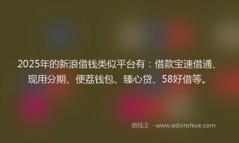 2025年的新浪借钱类似平台有：借款宝速借通、现用分期、便荔钱包、臻心贷、58好借等。
