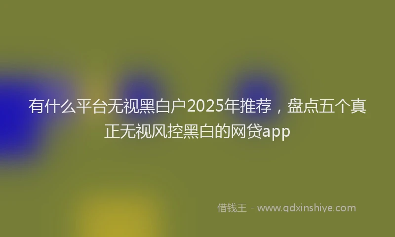 有什么平台无视黑白户2025年推荐，盘点五个真正无视风控黑白的网贷app
