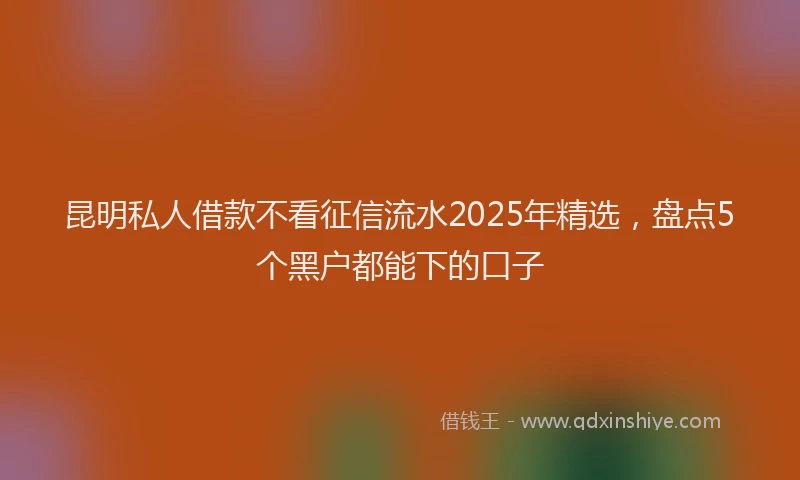 昆明私人借款不看征信流水2025年精选，盘点5个黑户都能下的口子