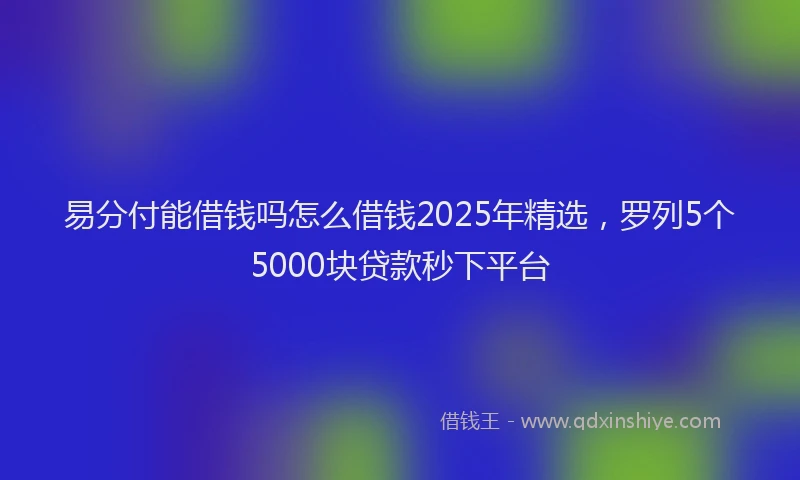 易分付能借钱吗怎么借钱2025年精选，罗列5个5000块贷款秒下平台