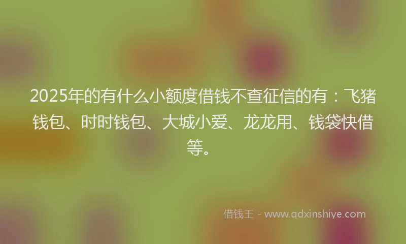 2025年的有什么小额度借钱不查征信的有：飞猪钱包、时时钱包、大城小爱、龙龙用、钱袋快借等。