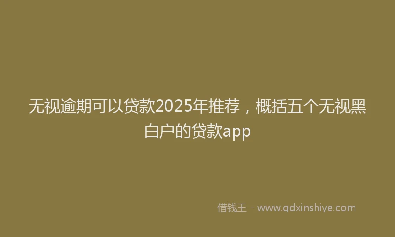 无视逾期可以贷款2025年推荐，概括五个无视黑白户的贷款app