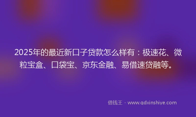 2025年的最近新口子贷款怎么样有：极速花、微粒宝盒、口袋宝、京东金融、易借速贷融等。