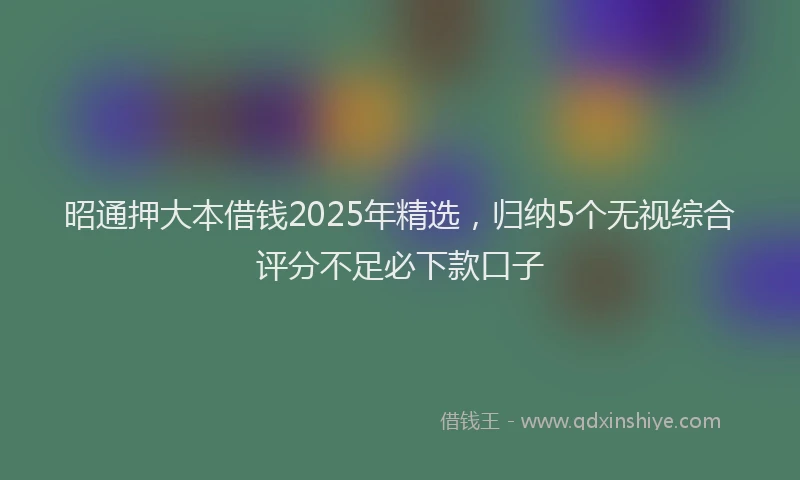 昭通押大本借钱2025年精选，归纳5个无视综合评分不足必下款口子