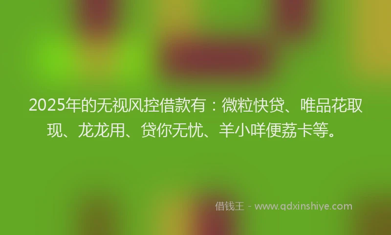 2025年的无视风控借款有：微粒快贷、唯品花取现、龙龙用、贷你无忧、羊小咩便荔卡等。