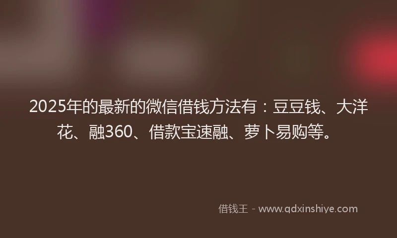 2025年的最新的微信借钱方法有：豆豆钱、大洋花、融360、借款宝速融、萝卜易购等。