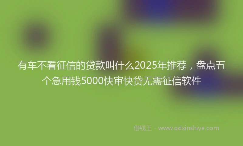 有车不看征信的贷款叫什么2025年推荐，盘点五个急用钱5000快审快贷无需征信软件