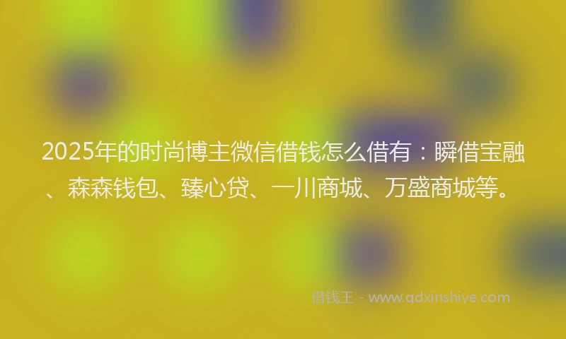 2025年的时尚博主微信借钱怎么借有：瞬借宝融、森森钱包、臻心贷、一川商城、万盛商城等。