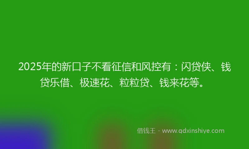 2025年的新口子不看征信和风控有：闪贷侠、钱贷乐借、极速花、粒粒贷、钱来花等。