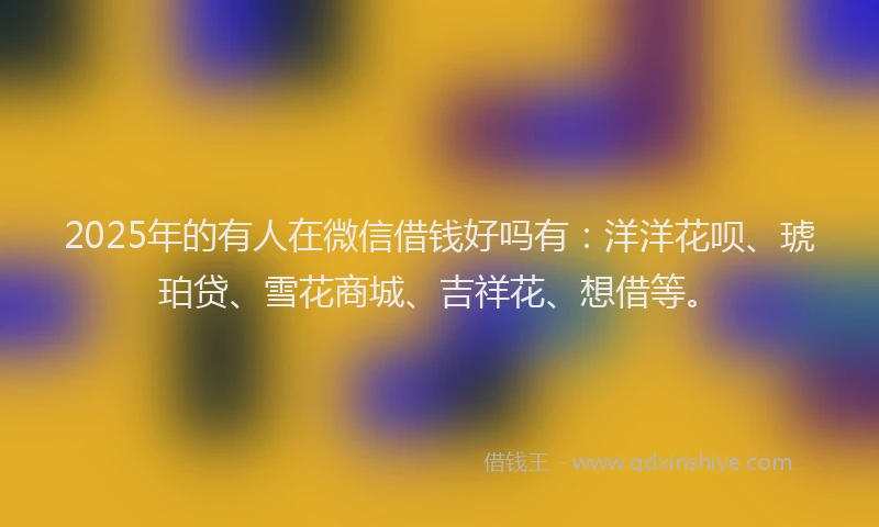 2025年的有人在微信借钱好吗有：洋洋花呗、琥珀贷、雪花商城、吉祥花、想借等。
