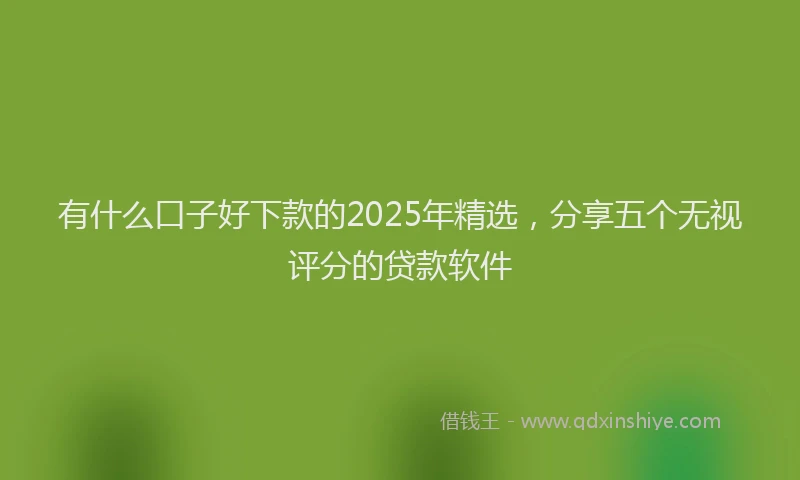 有什么口子好下款的2025年精选，分享五个无视评分的贷款软件