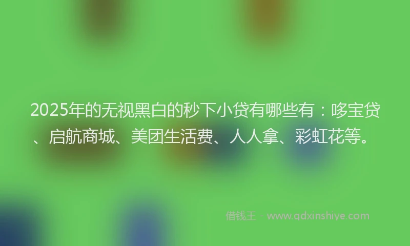 2025年的无视黑白的秒下小贷有哪些有：哆宝贷、启航商城、美团生活费、人人拿、彩虹花等。