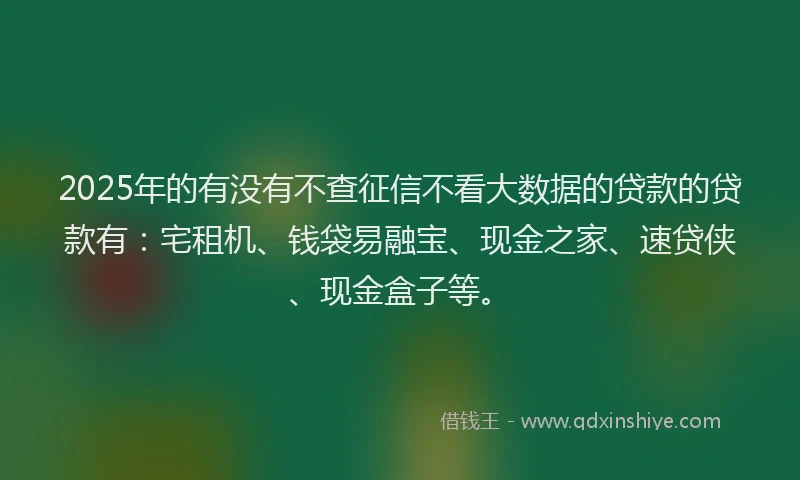 2025年的有没有不查征信不看大数据的贷款的贷款有：宅租机、钱袋易融宝、现金之家、速贷侠、现金盒子等。
