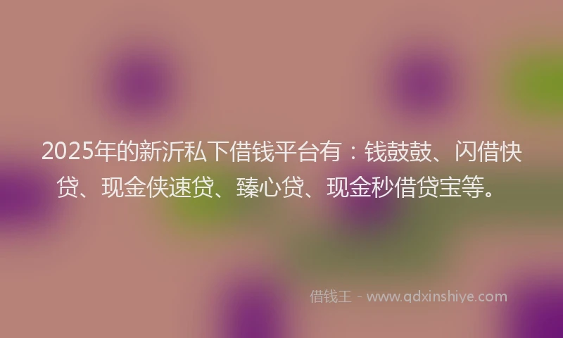 2025年的新沂私下借钱平台有：钱鼓鼓、闪借快贷、现金侠速贷、臻心贷、现金秒借贷宝等。