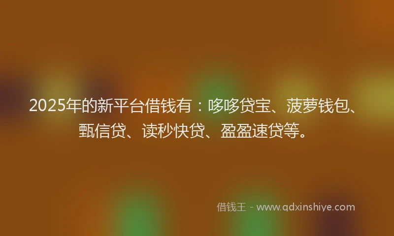 2025年的新平台借钱有：哆哆贷宝、菠萝钱包、甄信贷、读秒快贷、盈盈速贷等。